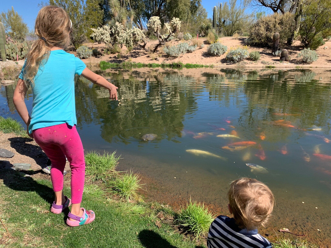 Sonoran Explorin Tours-凯尔福利必去景点