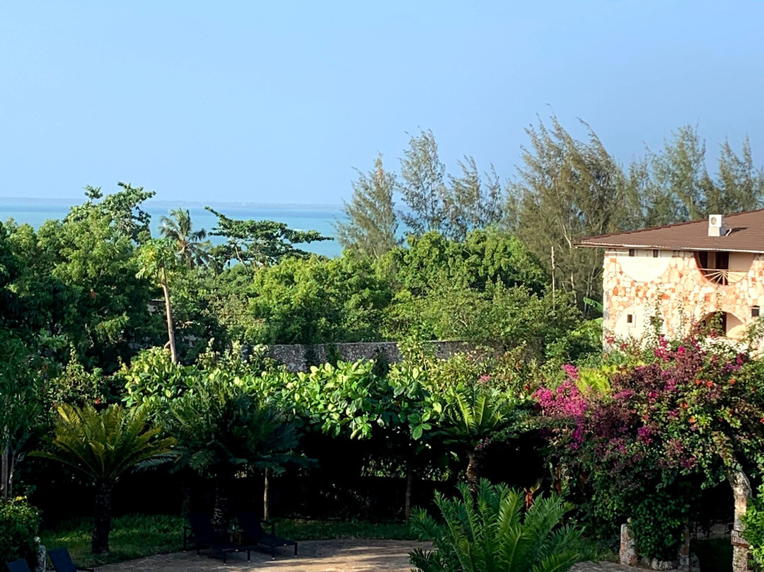 Palumbo Kendwa主图