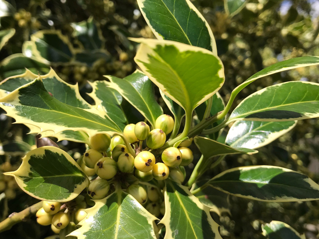 Holy Redeemer Church-德洛兰恩必去景点