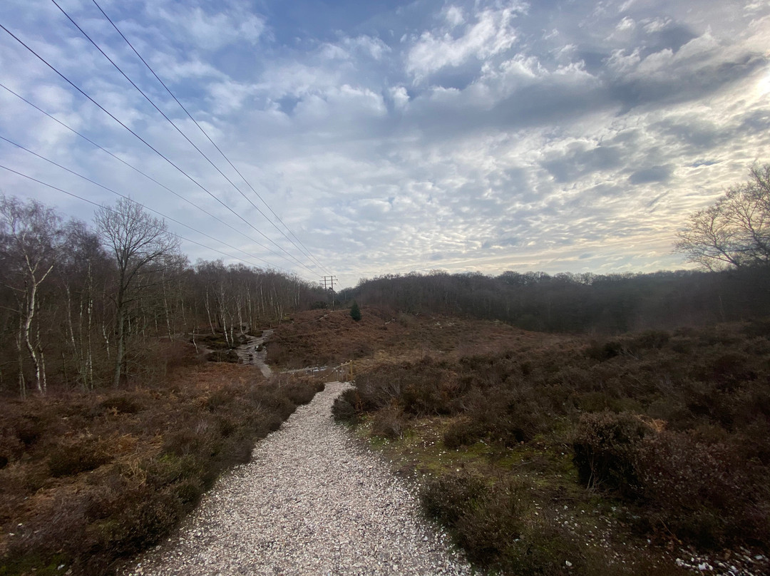 Snelsmore Common Country Park-纽伯里必去景点