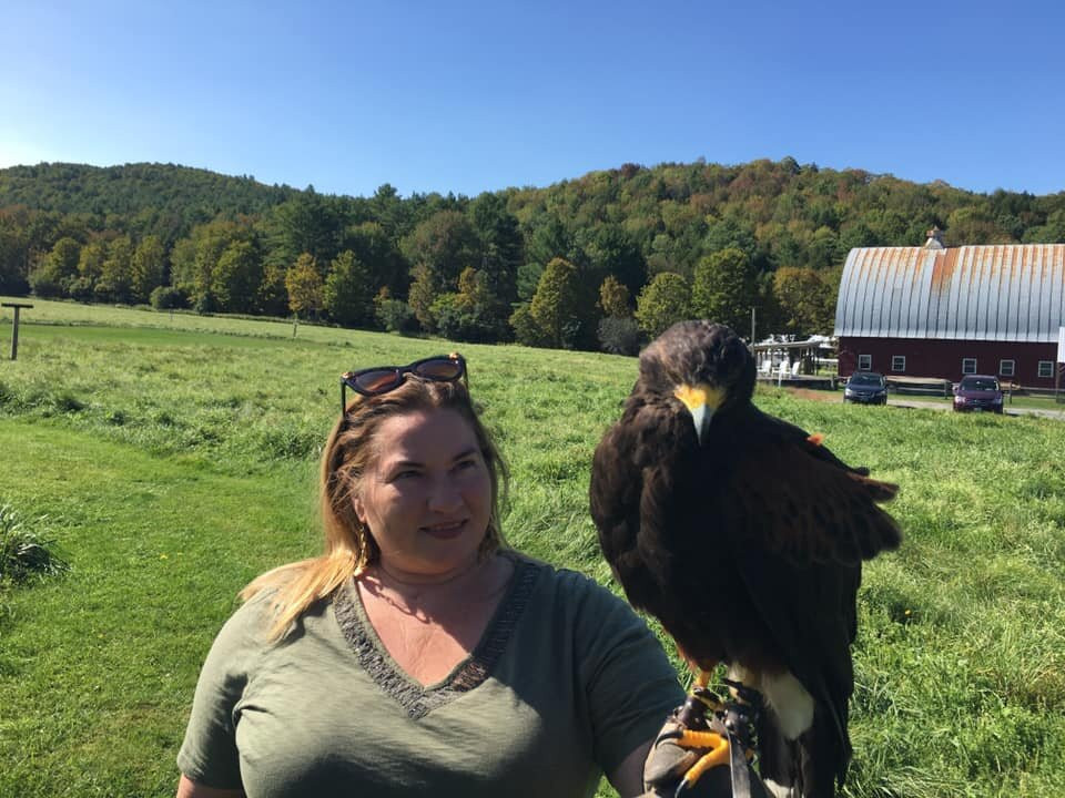 New England Falconry-伍德斯托克必去景点