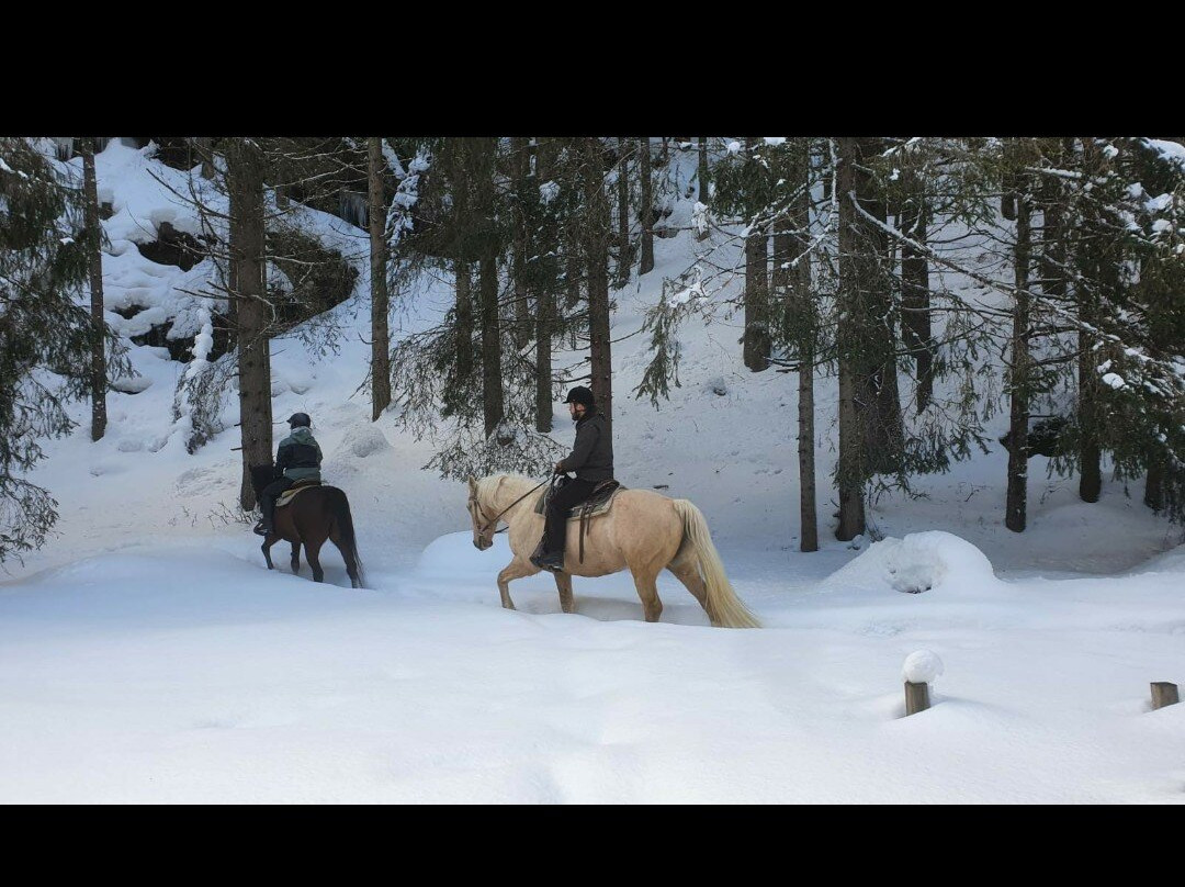 Charlotte Horse Riding景点图片