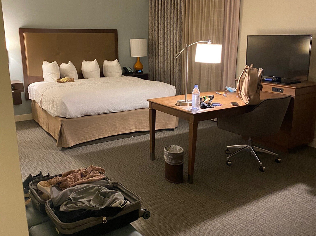 Hampton Inn & Suites Braselton主图