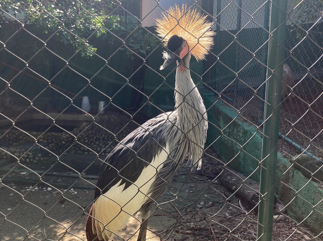 Arca do Noah - Educacao Ambiental-Guaratiba必去景点