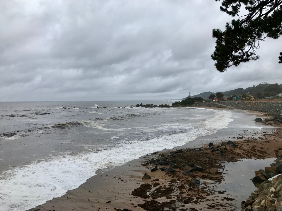 Penguin Foreshore-企鹅岛必去景点