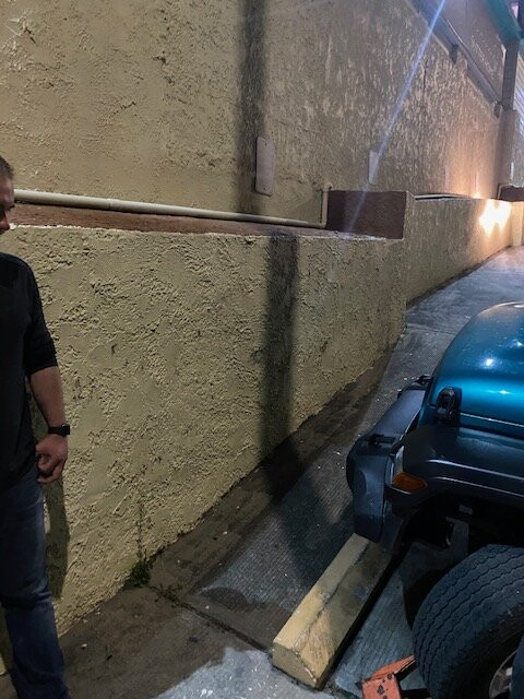 Dolphin Market-克鲁兹湾必去景点