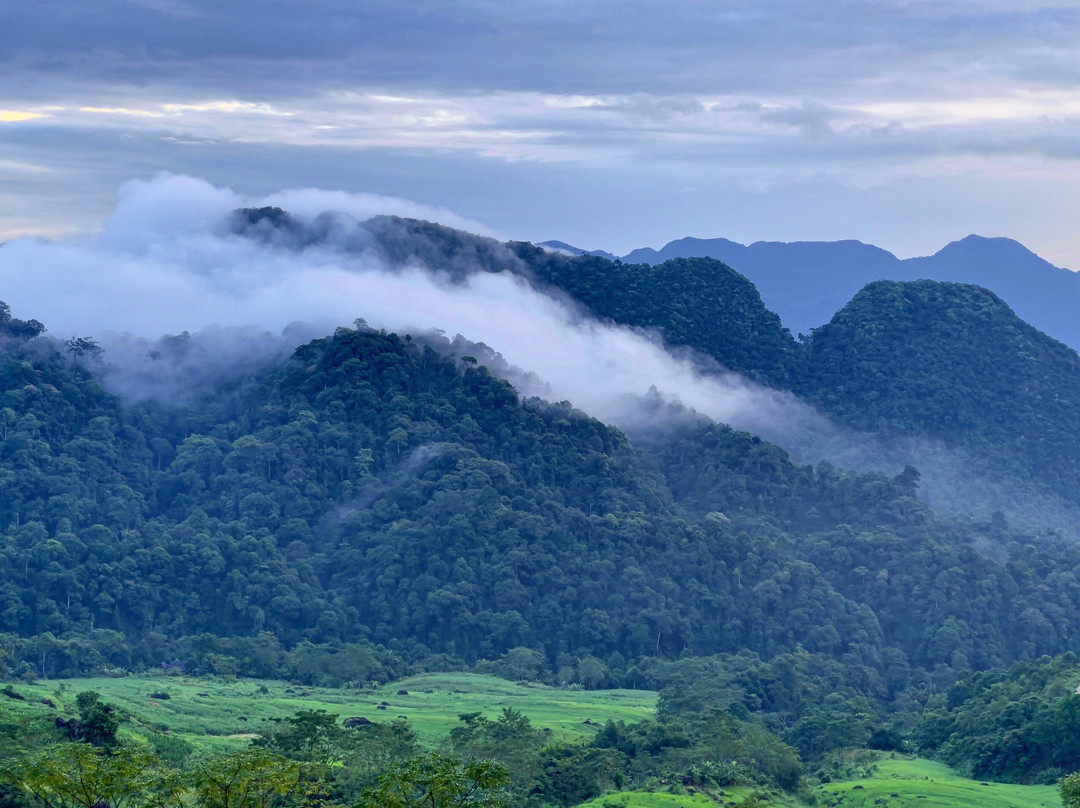 Central Hills Puluong Resort