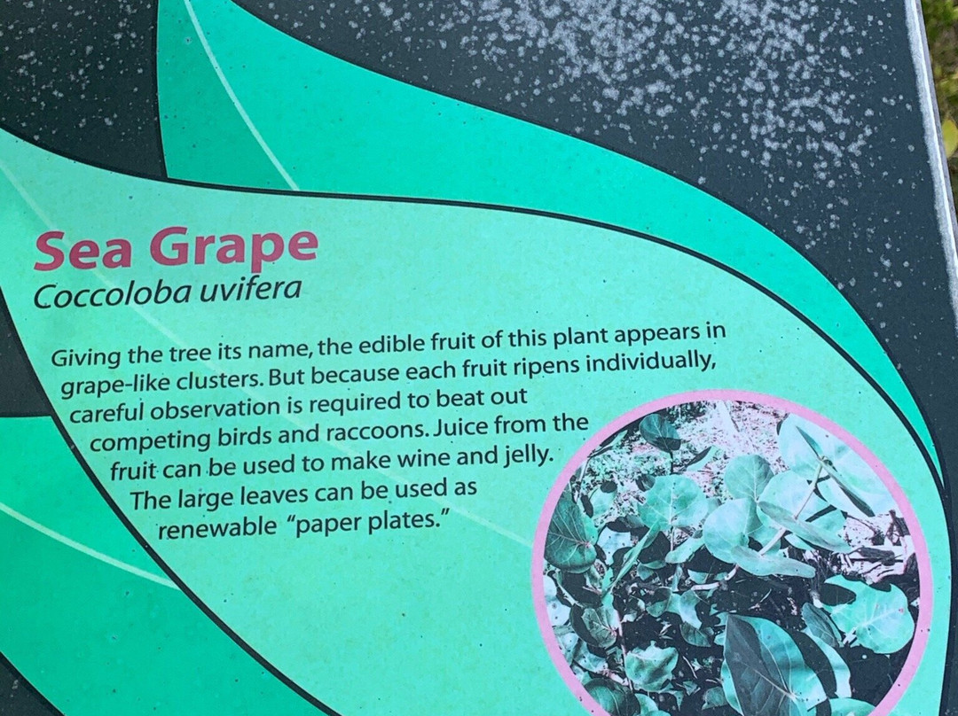 Neal Preserve-布雷登顿必去景点