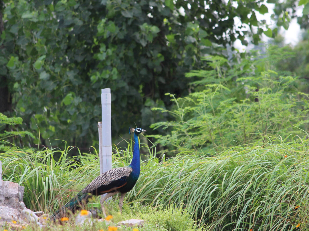 Rewild Life Biodiversity Farms景点图片