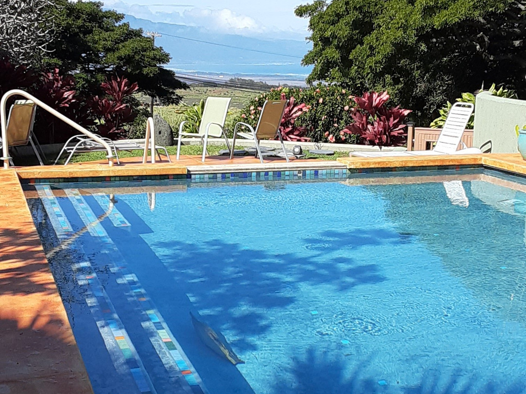 Banyan Bed And Breakfast Retreat主图