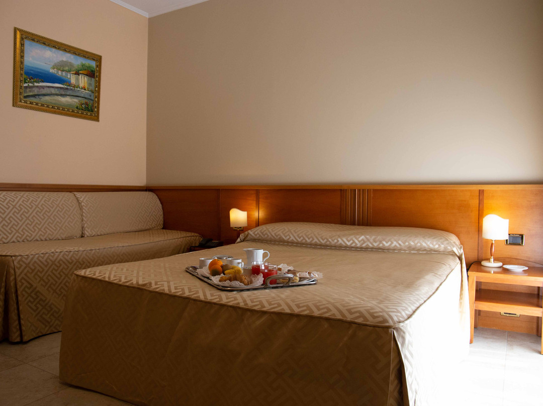 Hotel Maddaloni主图