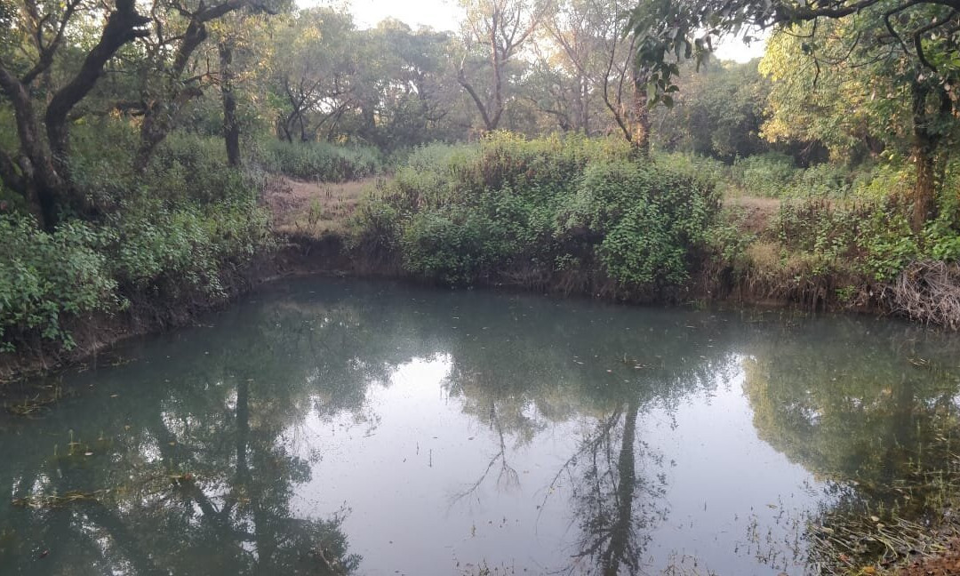 Rathore Adventures-潘恰格尼必去景点