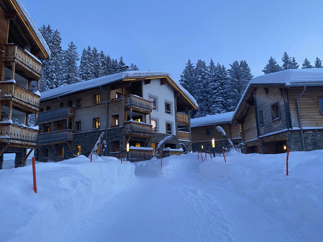 Priva Alpine Lodge Lenzerheide主图