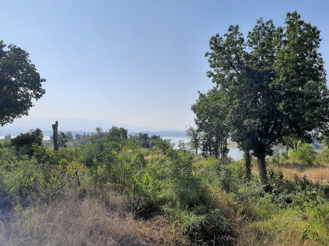 Pugdundee Safari- Denwa Backwater Escape主图