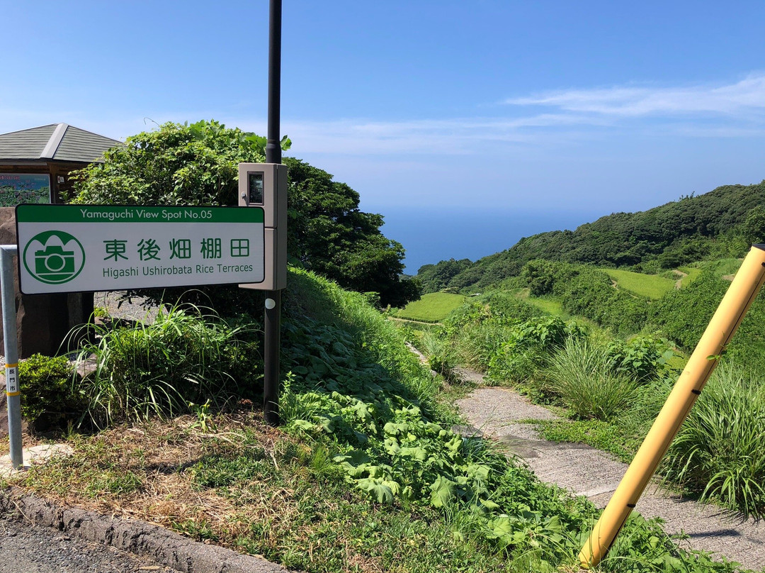 Higashi Ushirobata Tanada-长门市必去景点