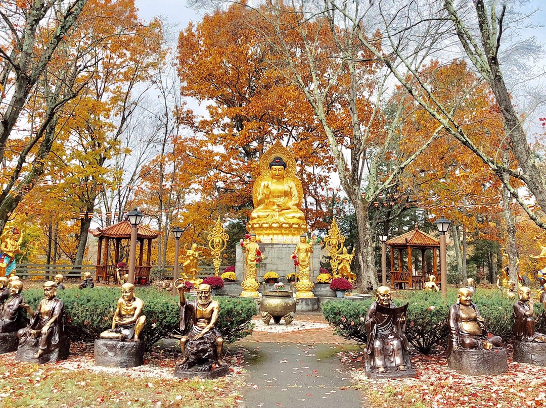 Jinyin Temple景点图片