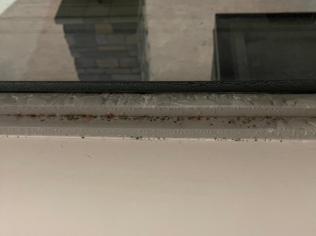 Holiday Inn Express & Suites Merrillville By IHG主图