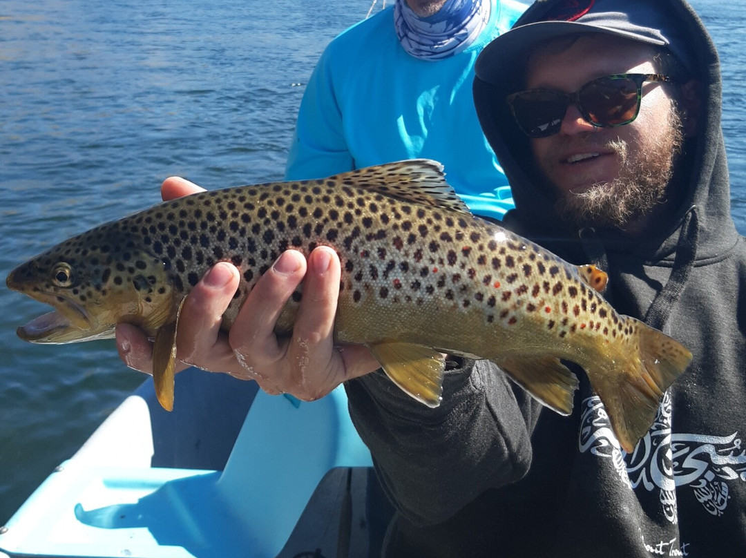 About Trout Fly Fishing-Chama必去景点