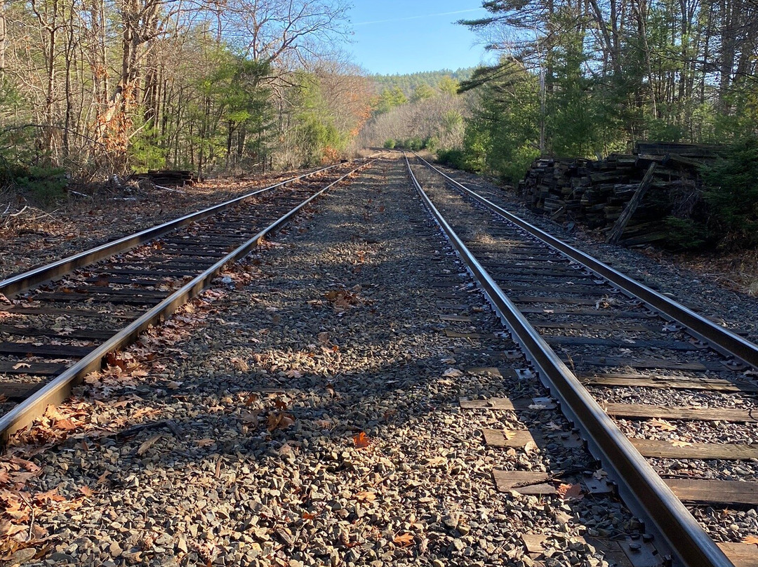 2023年12月Bearsden Conservation Area景点攻略Bearsden Conservation Area门票预订