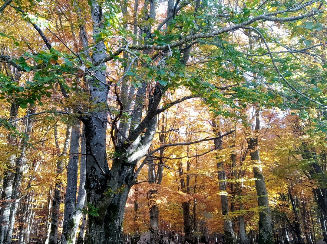 Area Pic Nic Prato di Campoli-Veroli必去景点
