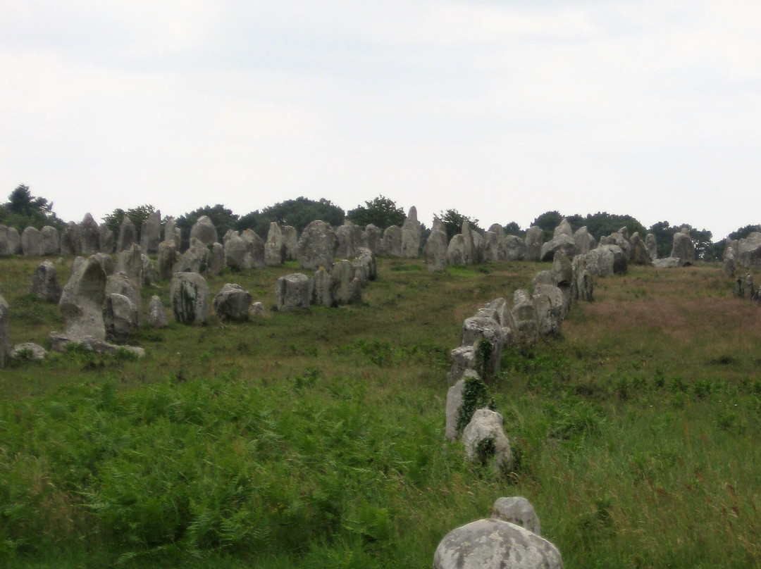 Megaliths of Carnac景点图片