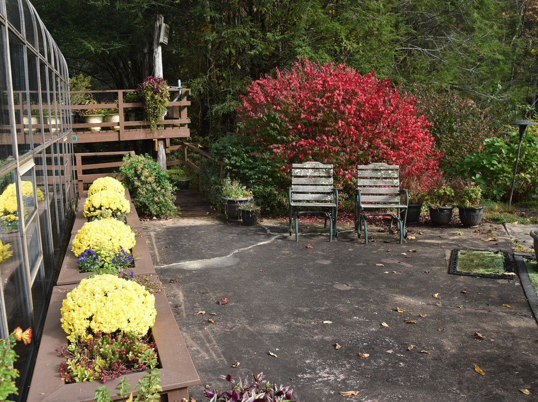 Inn on Mill Creek主图