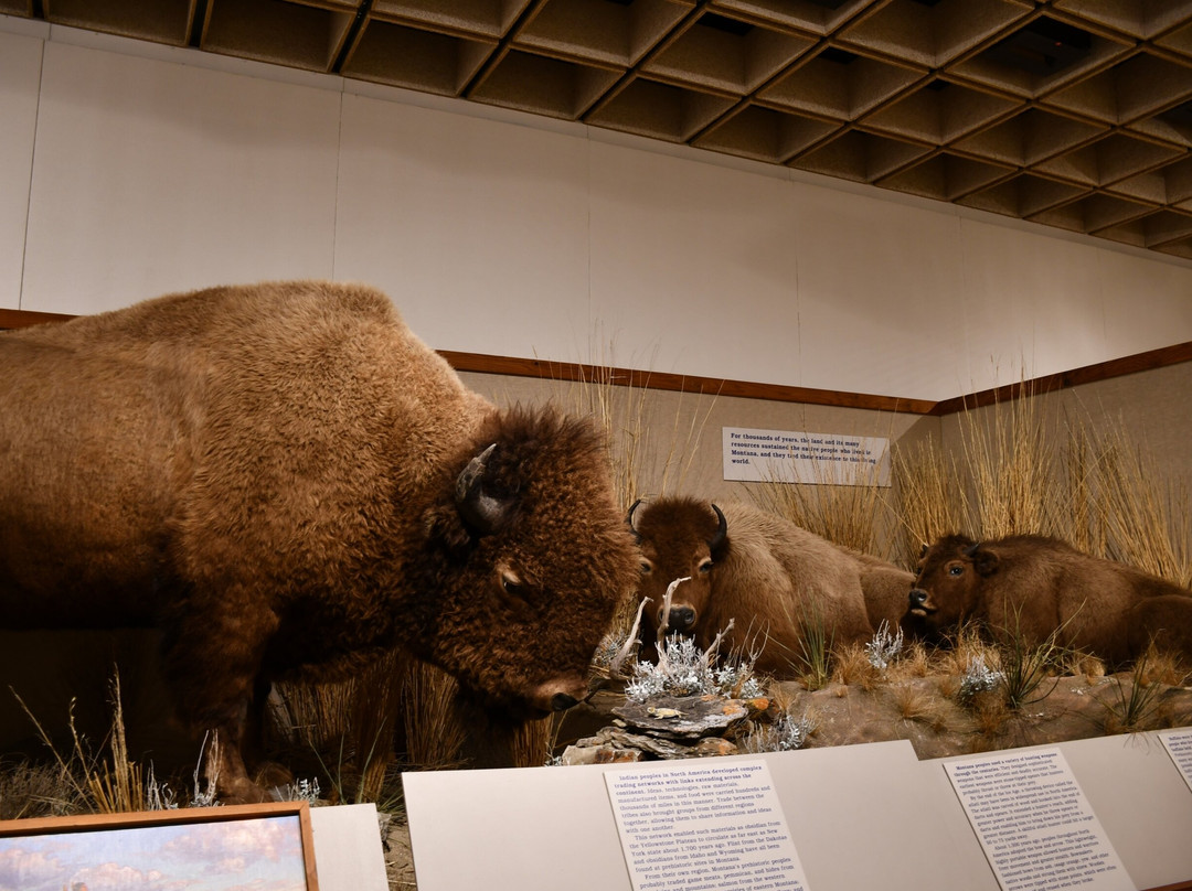 Montana Historical Society Museum景点图片