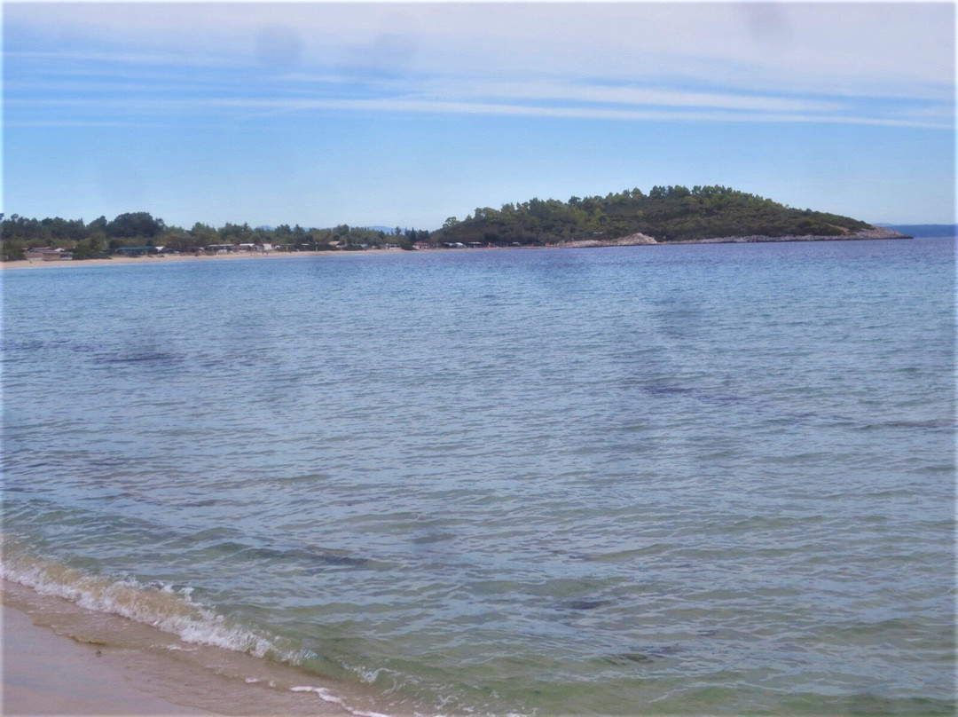 Blue Dolphin Hotel主图