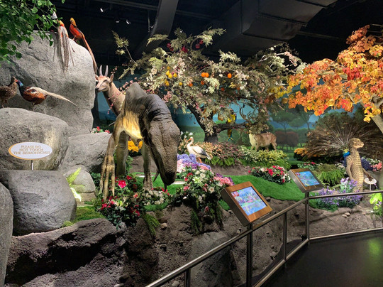 ICR Discovery Center-达拉斯必去景点