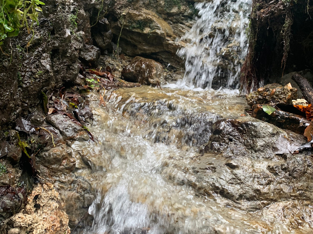Drews Pond Nature Reserve-迪韦齐斯必去景点