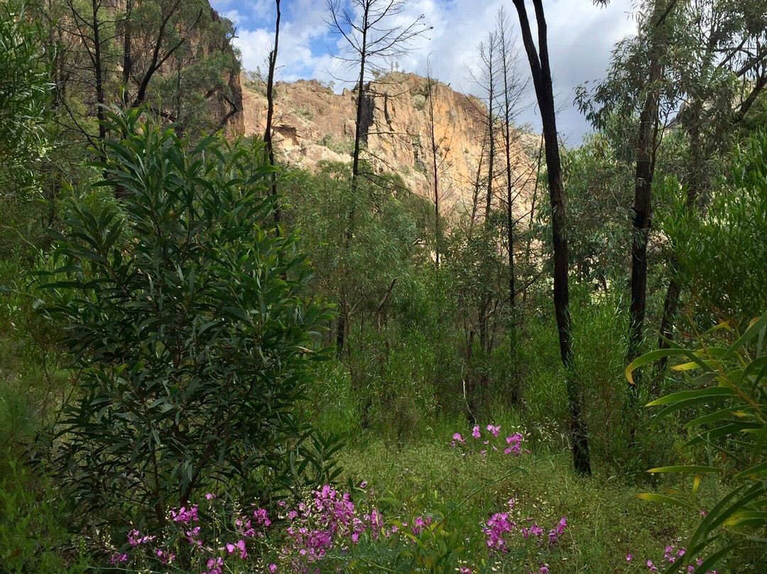 Warrumbungle National Park景点图片