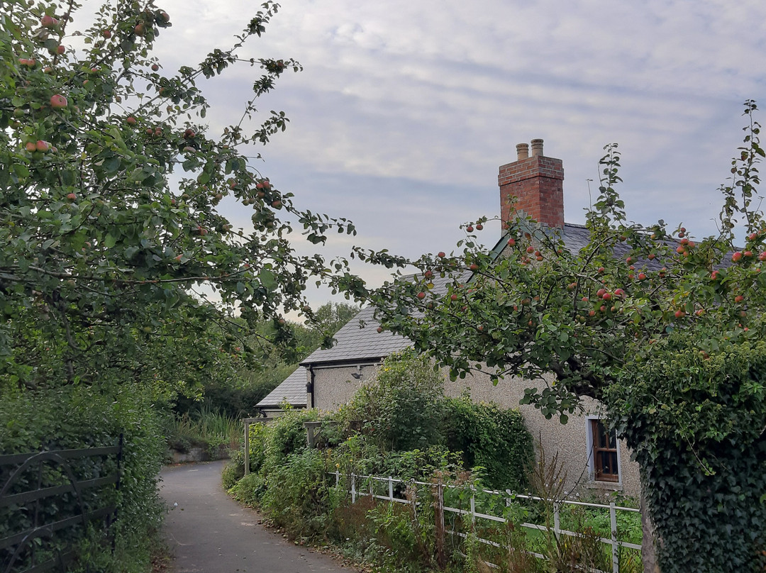 Peatlands Park景点图片