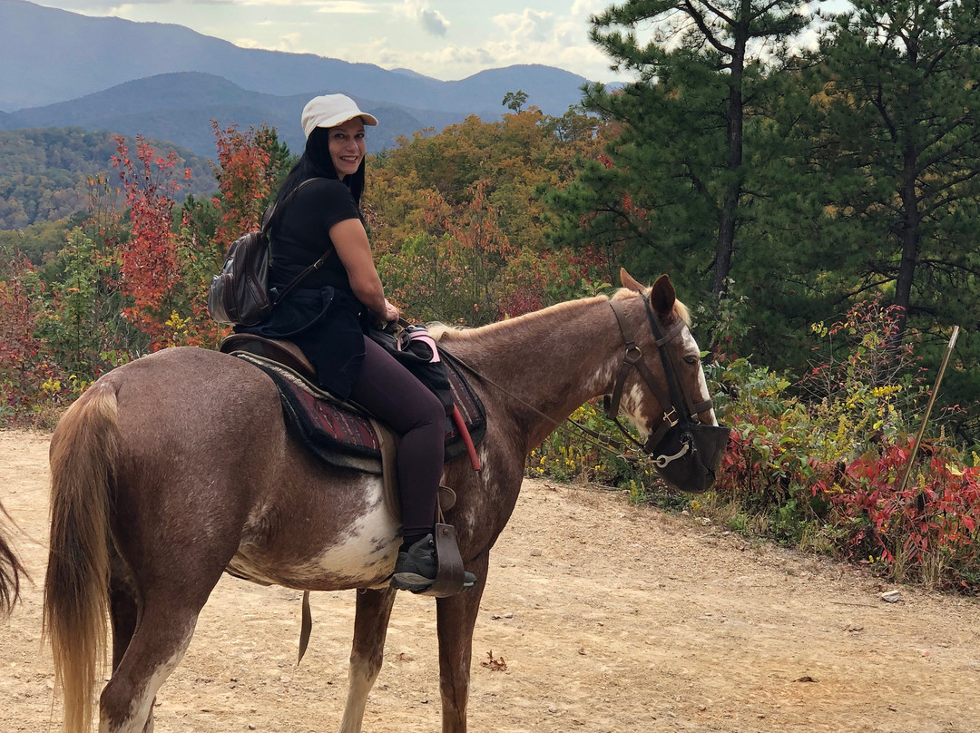 Next to Heaven Adventure-汤森必去景点