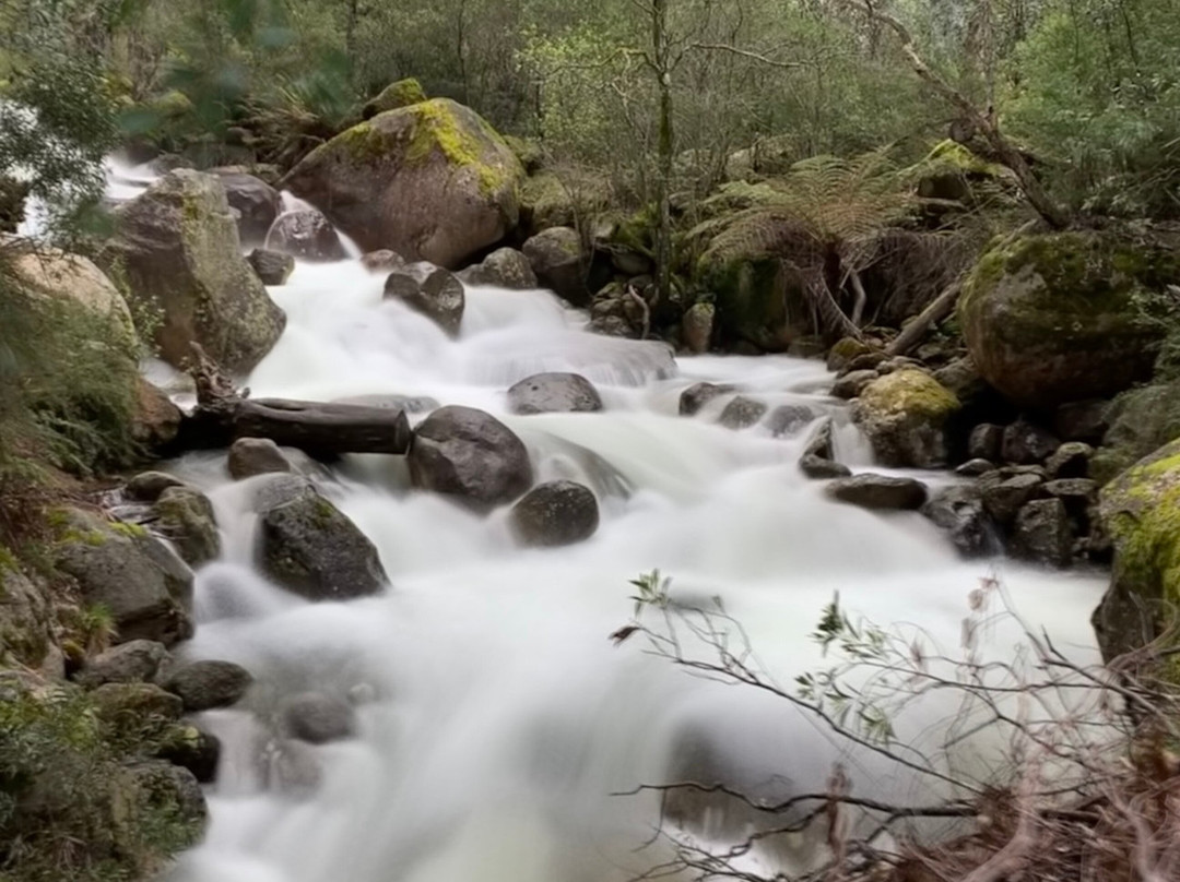 Motel Views Yackandandah主图