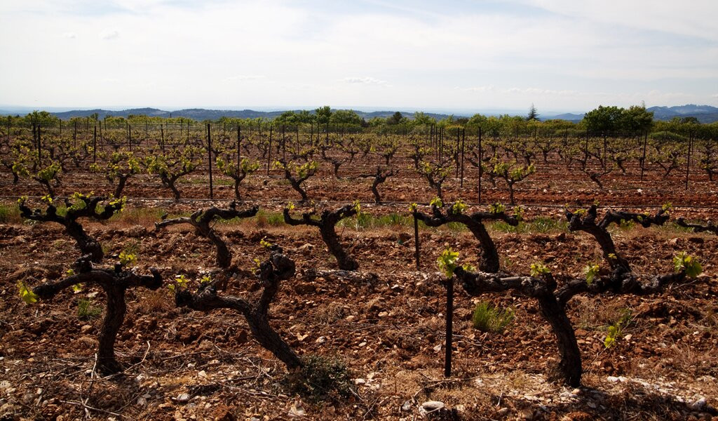 Domaine Les Patys-Bedoin必去景点