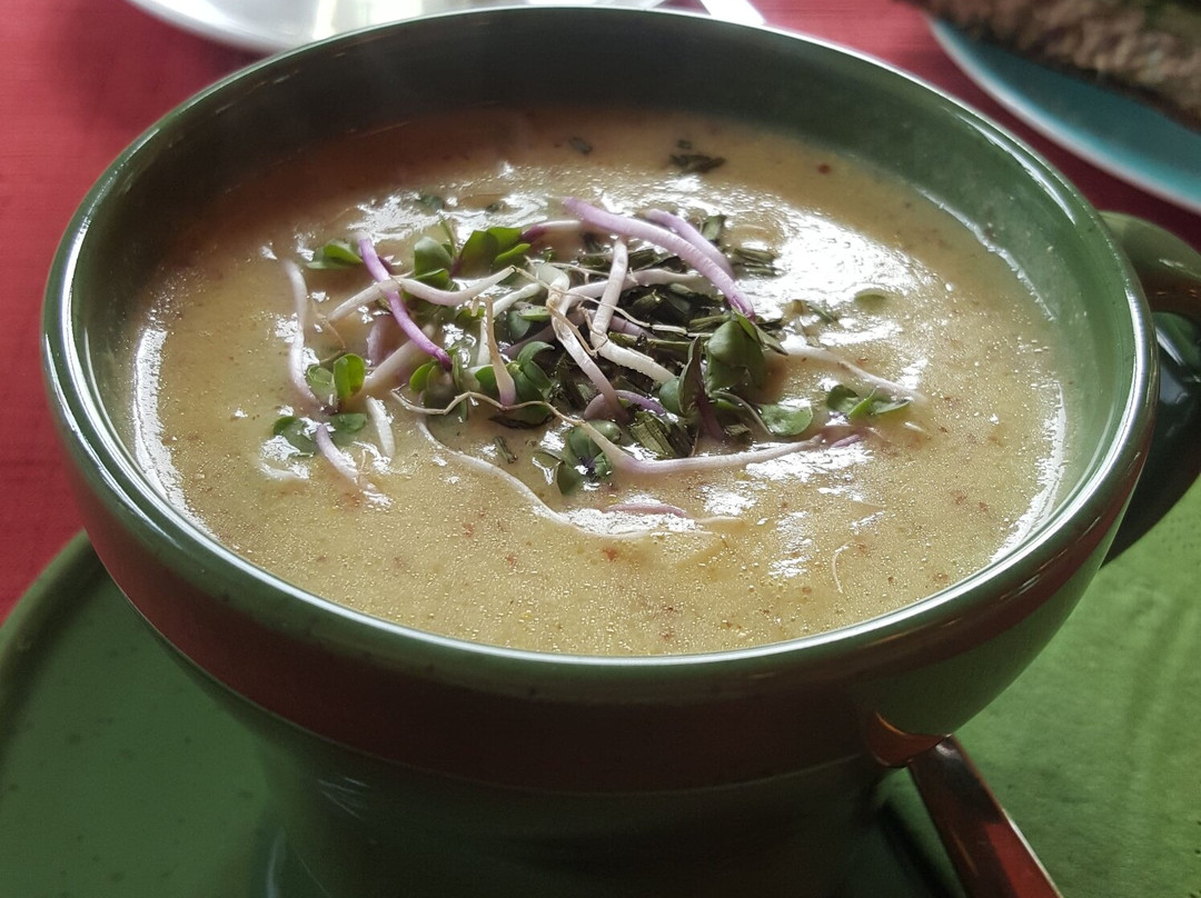 Houwerzijl旅游攻略图片