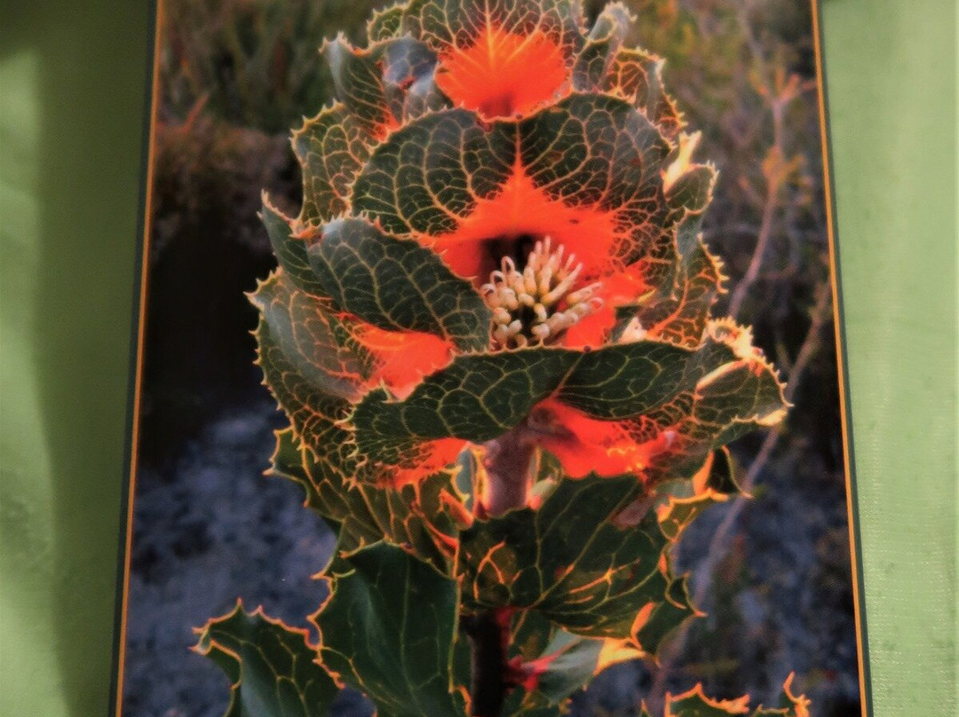 Fitzgerald Coast Visitor Centre