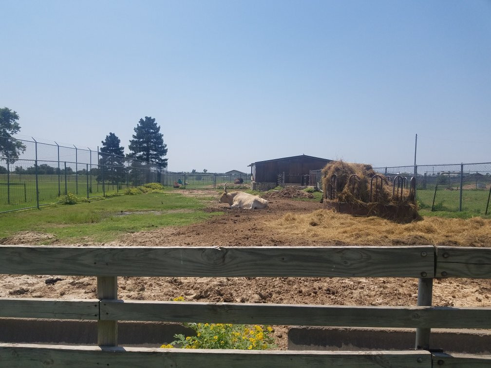 Dodge City Zoo景点图片