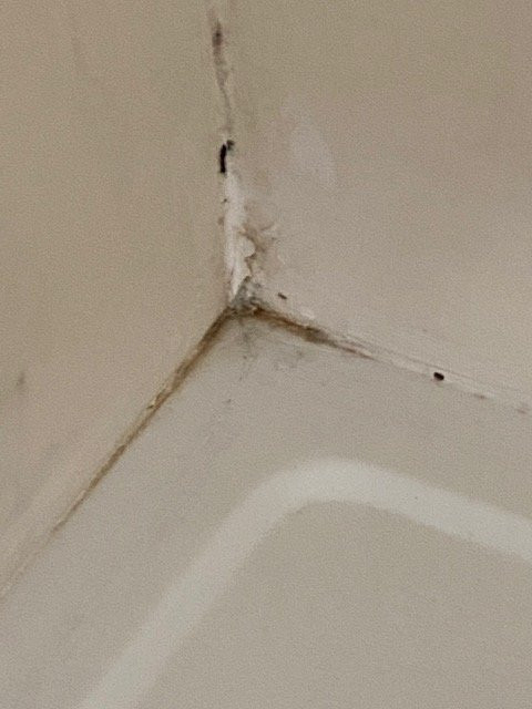 Country Inn & Suites by Radisson, Greenville, NC主图