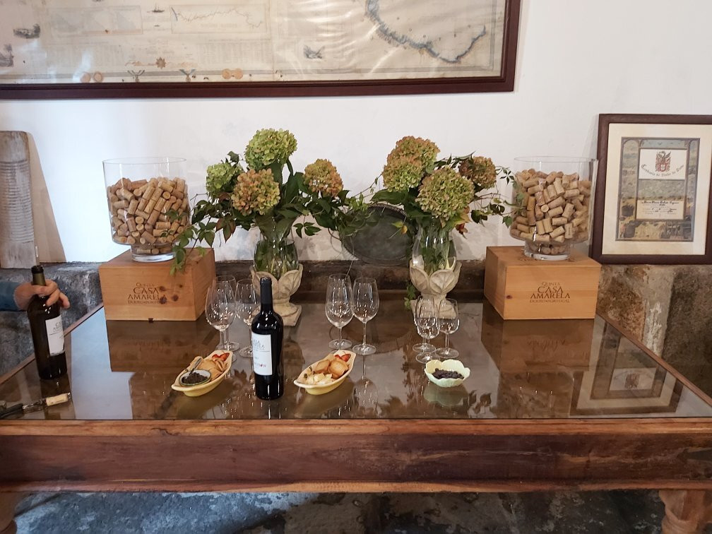 Quinta da Casa Amarela景点图片