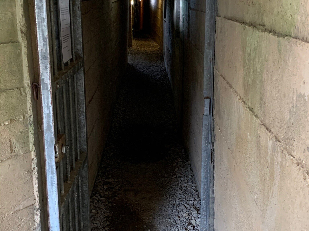 La Batterie d'Azeville (Azeville gun battery)景点图片
