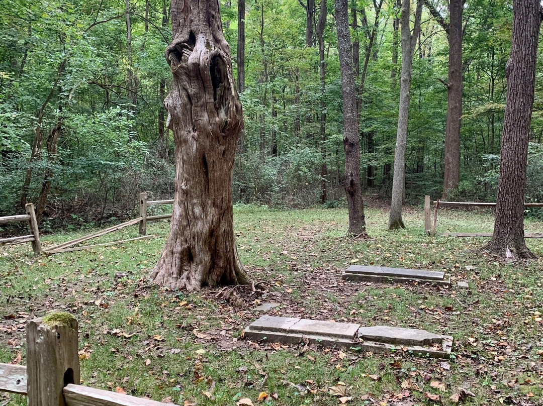 Harmonie State Park-New Harmony必去景点