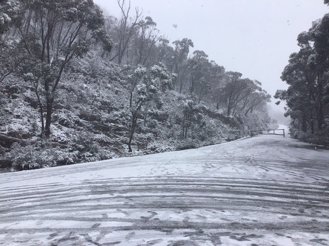 Mt William景点图片