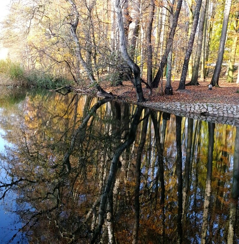 Jezioro Rusałka景点图片