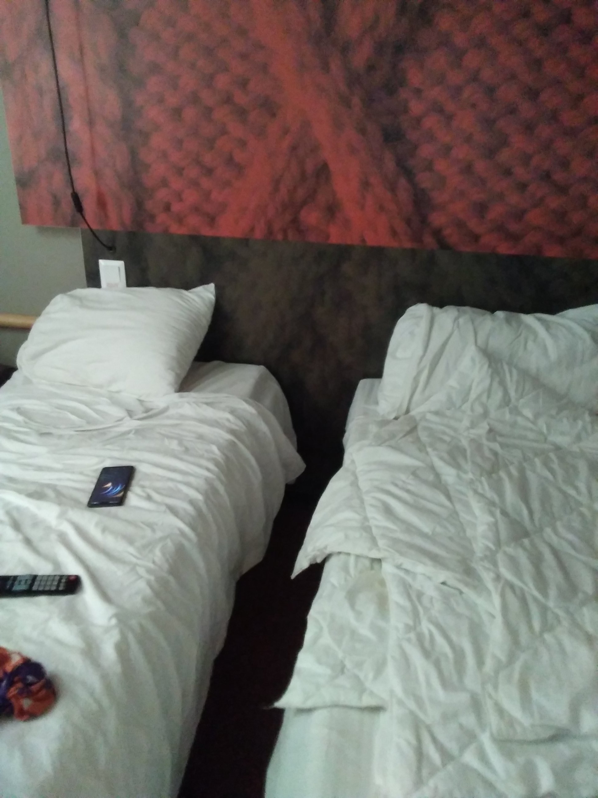 ibis Moscow Domodedovo Airport-官方