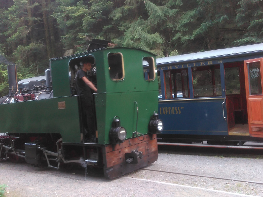 Train Forestier d'Abreschviller景点图片