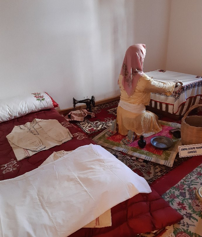 Mehmet Akif Ersoy Müze Evi景点图片