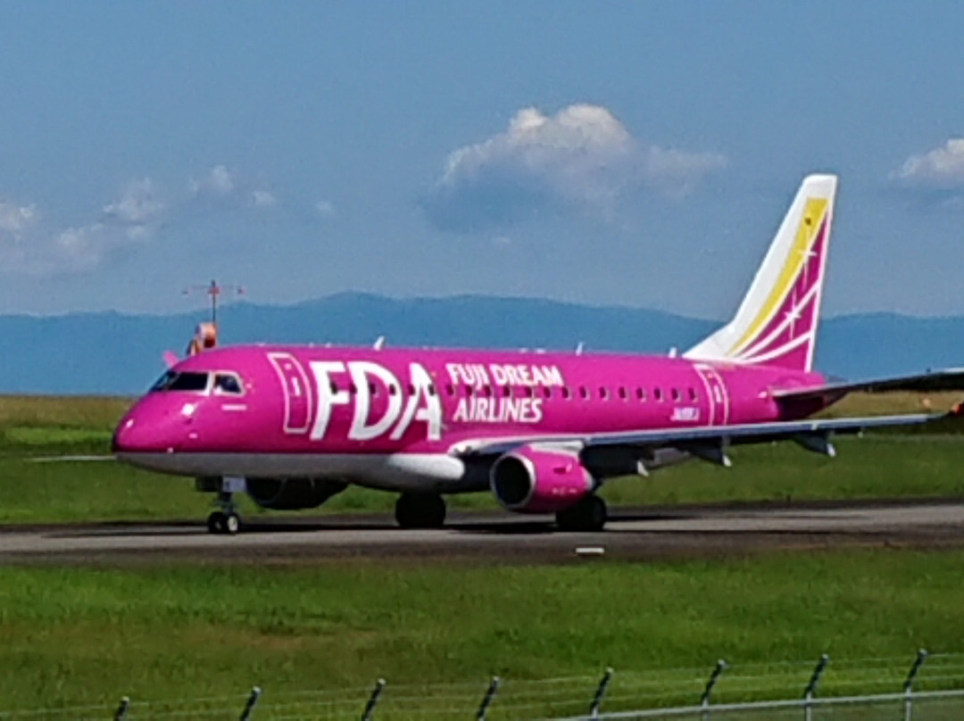 Mt. Fuji Shizuoka Airport View Open Space-牧之原市必去景点