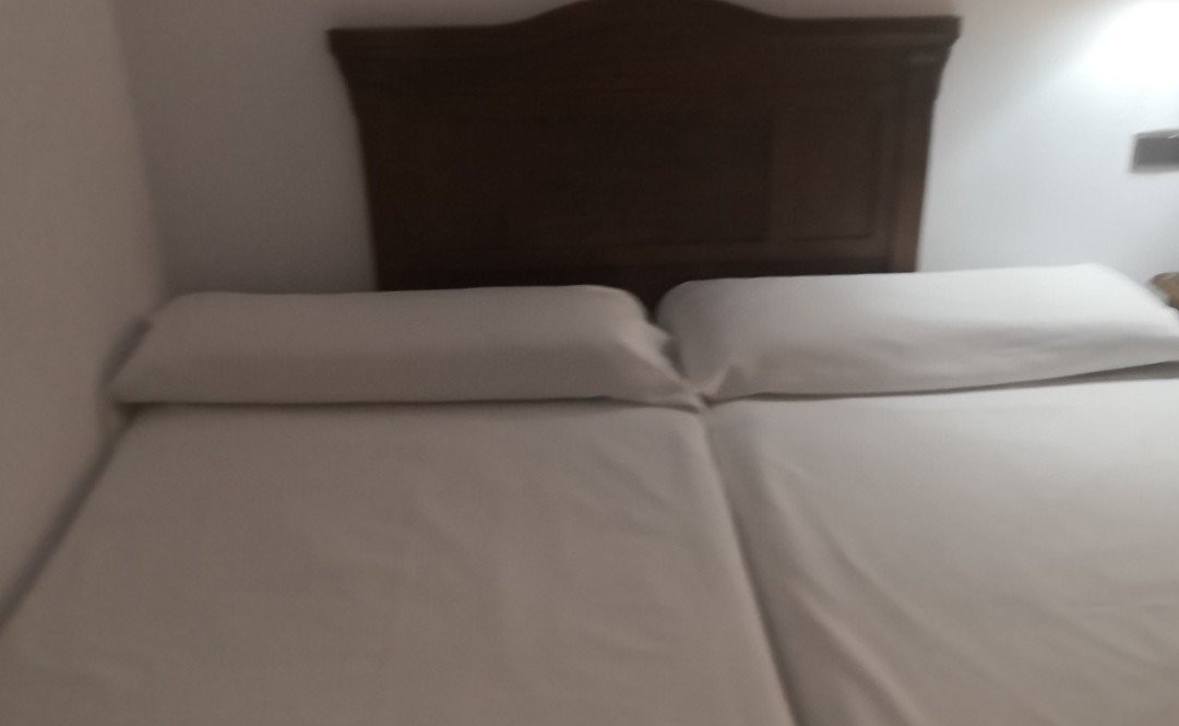 Hotel Restaurante Dama de Baza主图