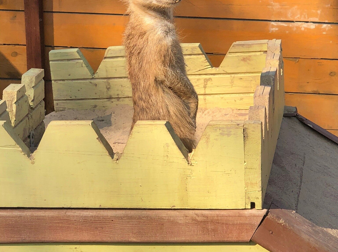 Lemur Park景点图片
